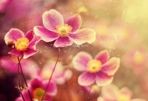 若现在就觉得失望无力,未来那么远你该怎么扛 (3)