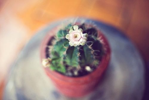 若现在就觉得失望无力,未来那么远你该怎么扛 (5)