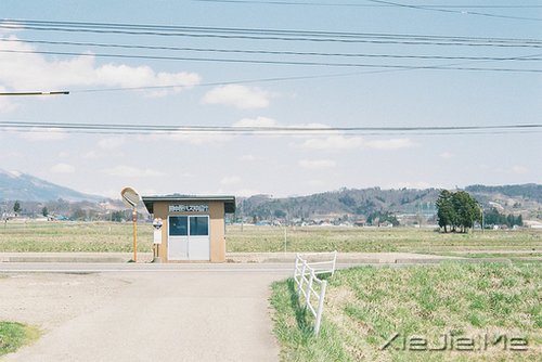 真正的高贵应该是优于过去的自己 (5)