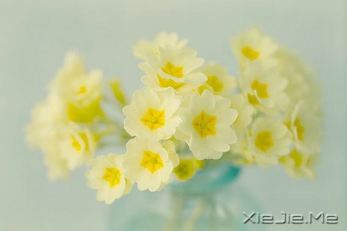 人生最清晰的脚印,往往印在最泥泞的路上 (2)