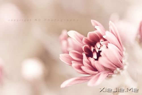 千万不要因为走的太久,而忘记了我们为什么出发 (2)