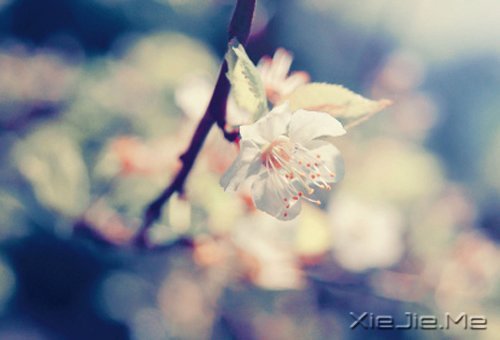 如果时间可以倒退,一切也就不再珍贵 (7)