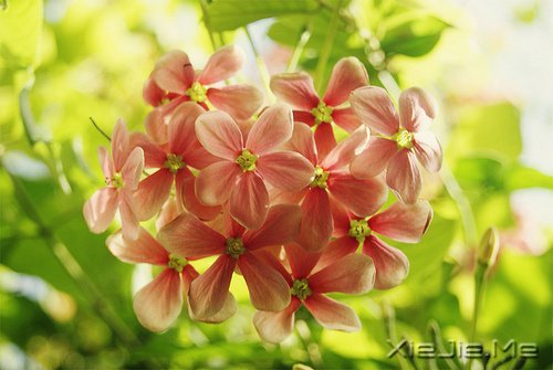 晚安心语:把生活转个身,重新开始 (9)