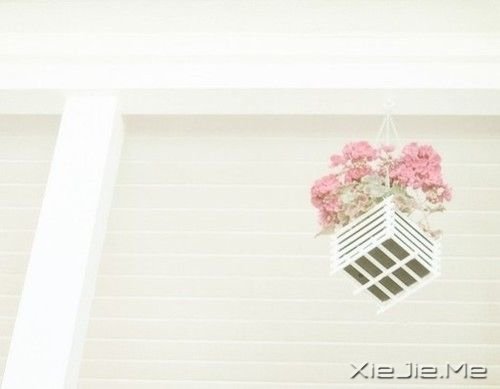 晚安心语:自己的笑容才是最美的风景 (3)