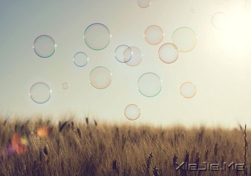 别人的怜悯,搏不来美好的未来 (4) 小清新图片 (4)