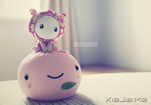 没有可不可以,只有愿不愿意