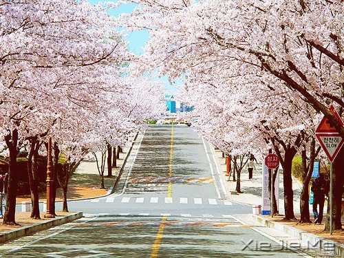 常常观自心,便会更智慧 (10)