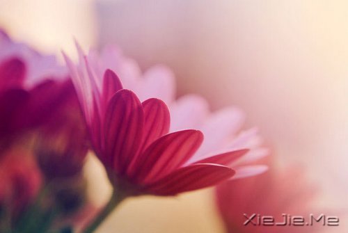 不确定就别亲吻,感情很容易毁了一个人